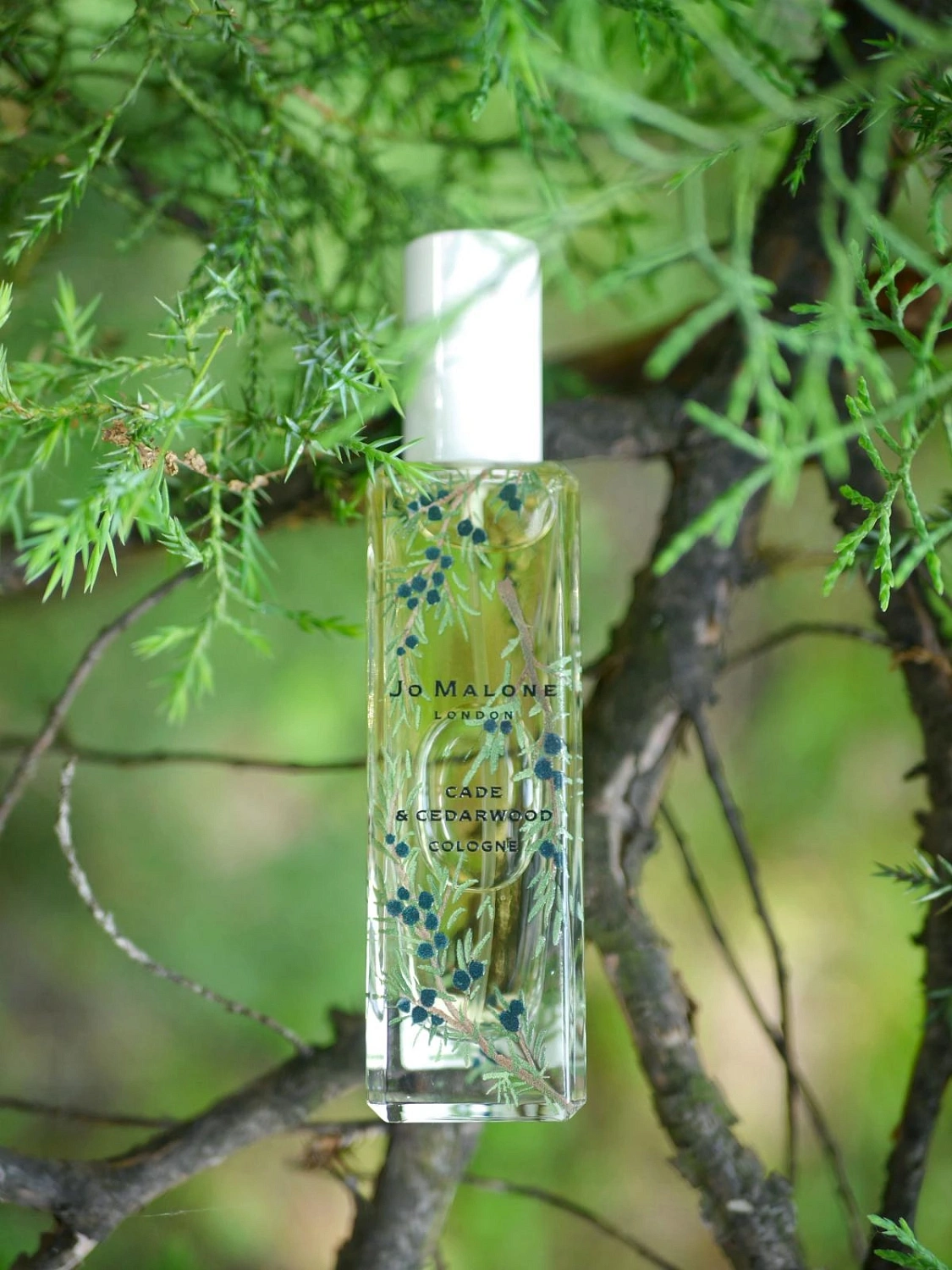 Jo Malone Cade & Cedarwood Jo Malone Cade & Cedarwood