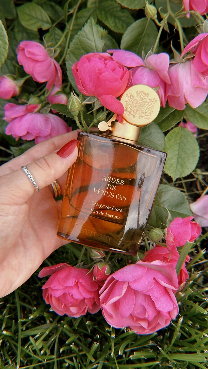 Aedes de Venustas Cierge De Lune