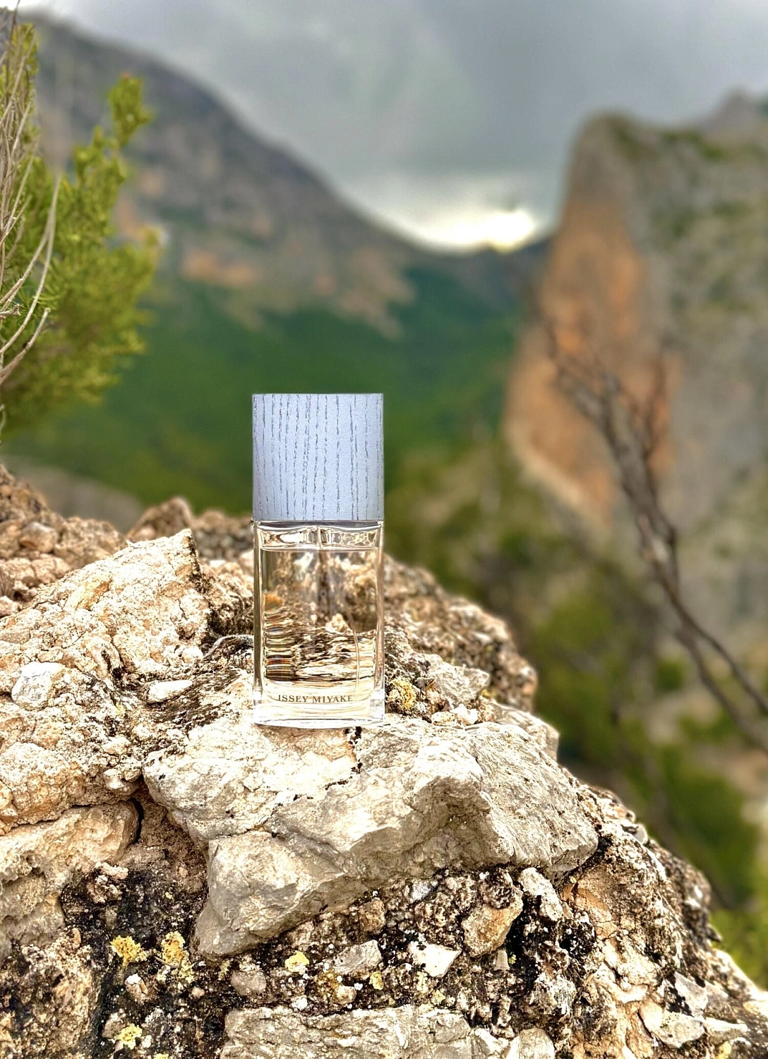 Issey Miyake L'Eau d'Issey Pour Homme Eau de Parfum