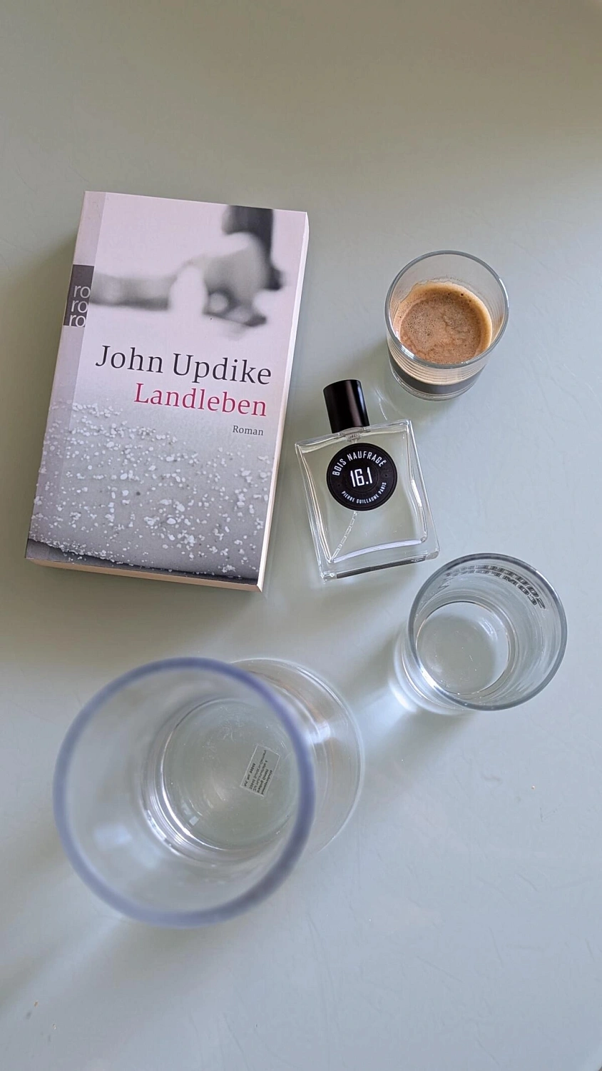 Pierre Guillaume Bois Naufrage 16.1