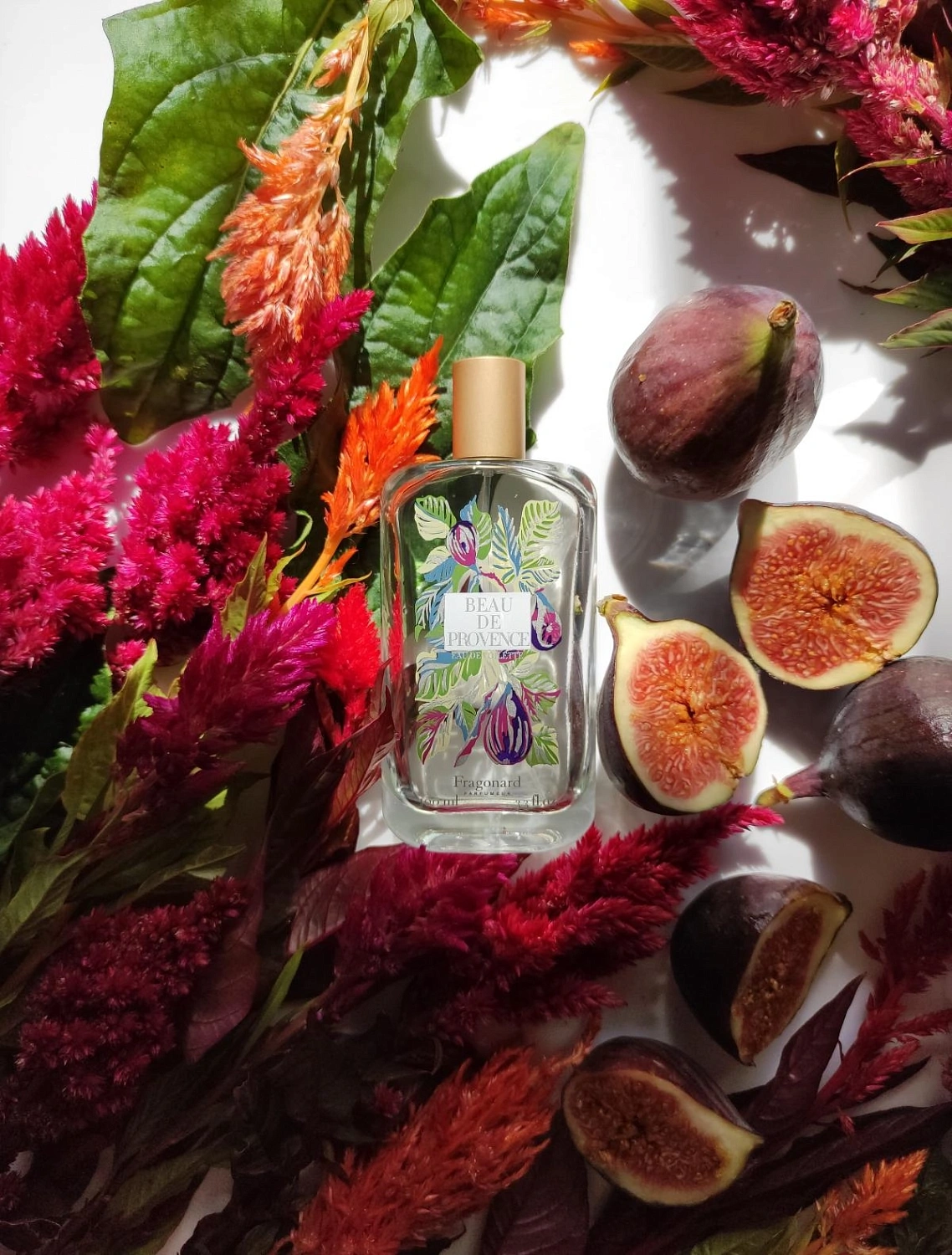 Fragonard Beau De Provence