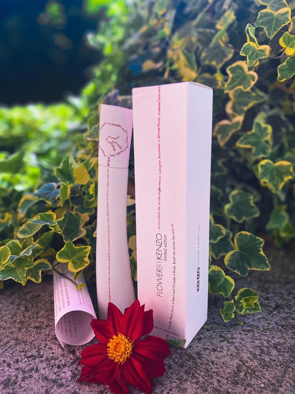 Flower by Kenzo One Day a Poppy Said