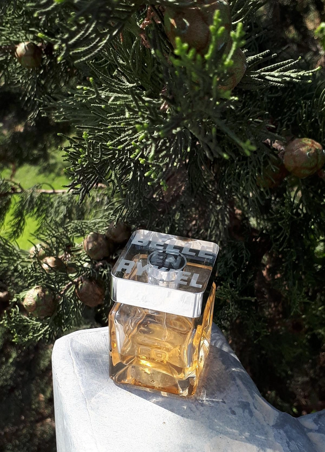 Sonia Rykiel Belle en Rykiel