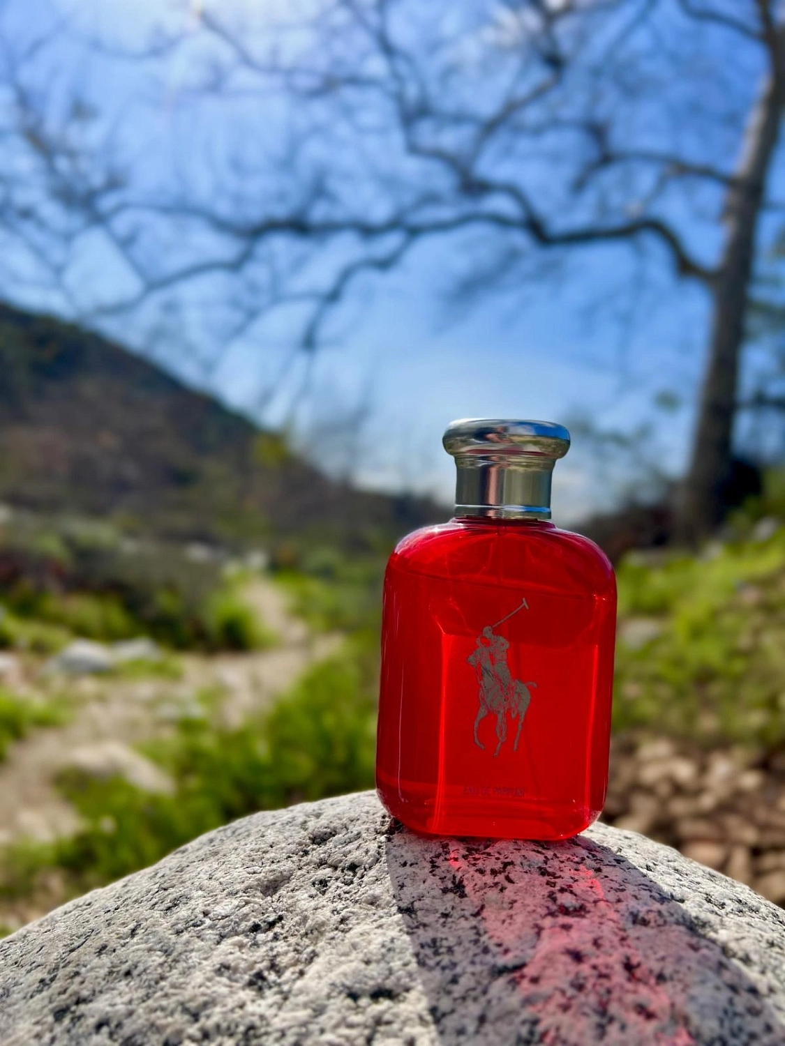 Ralph Lauren Polo Red Eau de Parfum Ralph Lauren Polo Red Eau de Parfum