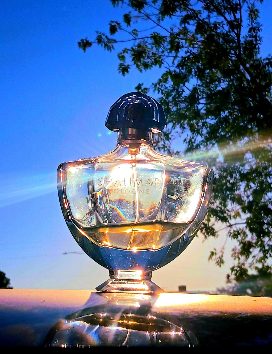 Guerlain Shalimar Cologne