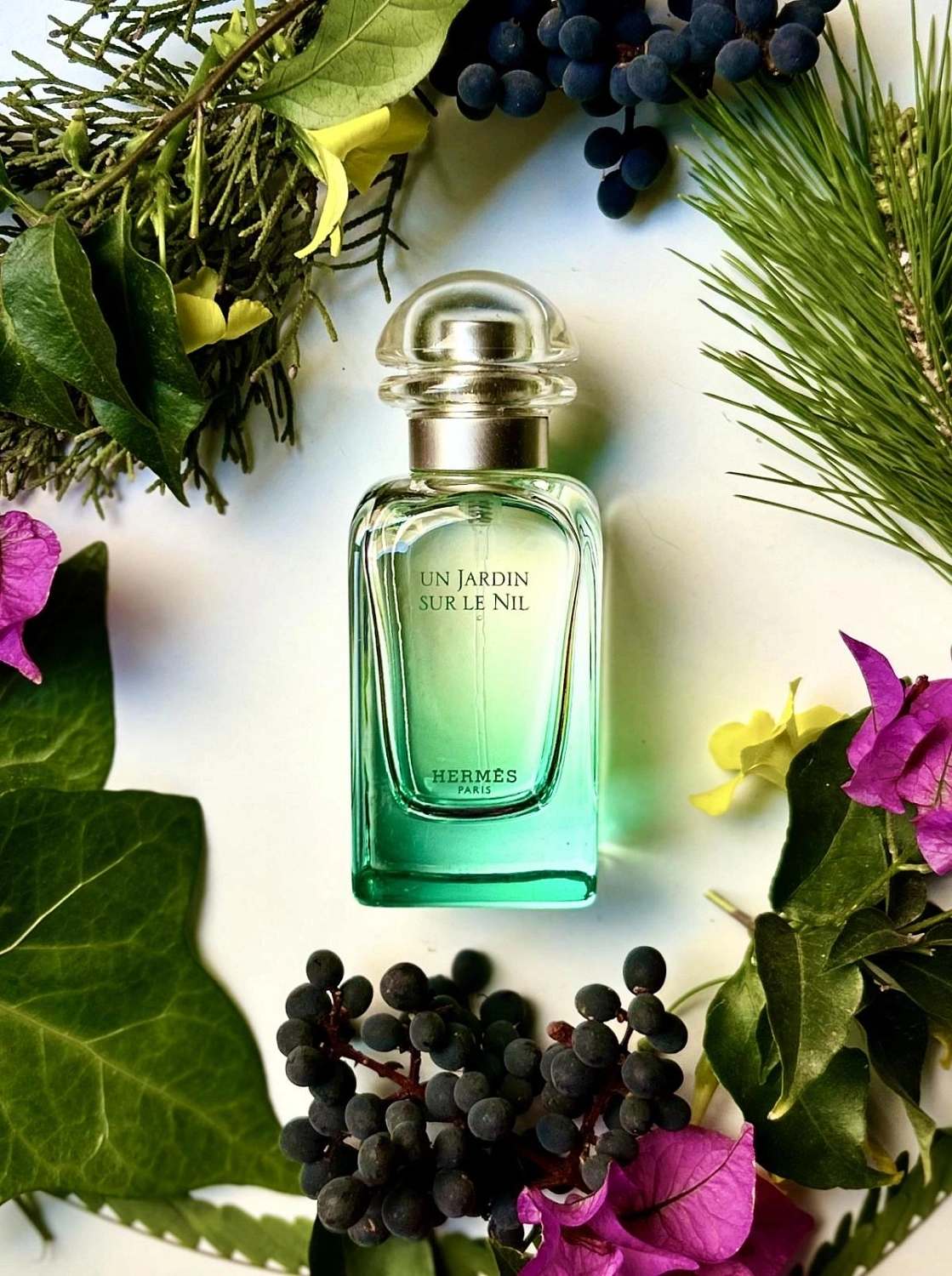 Hermes Un Jardin sur le Nil Hermes Un Jardin sur le Nil