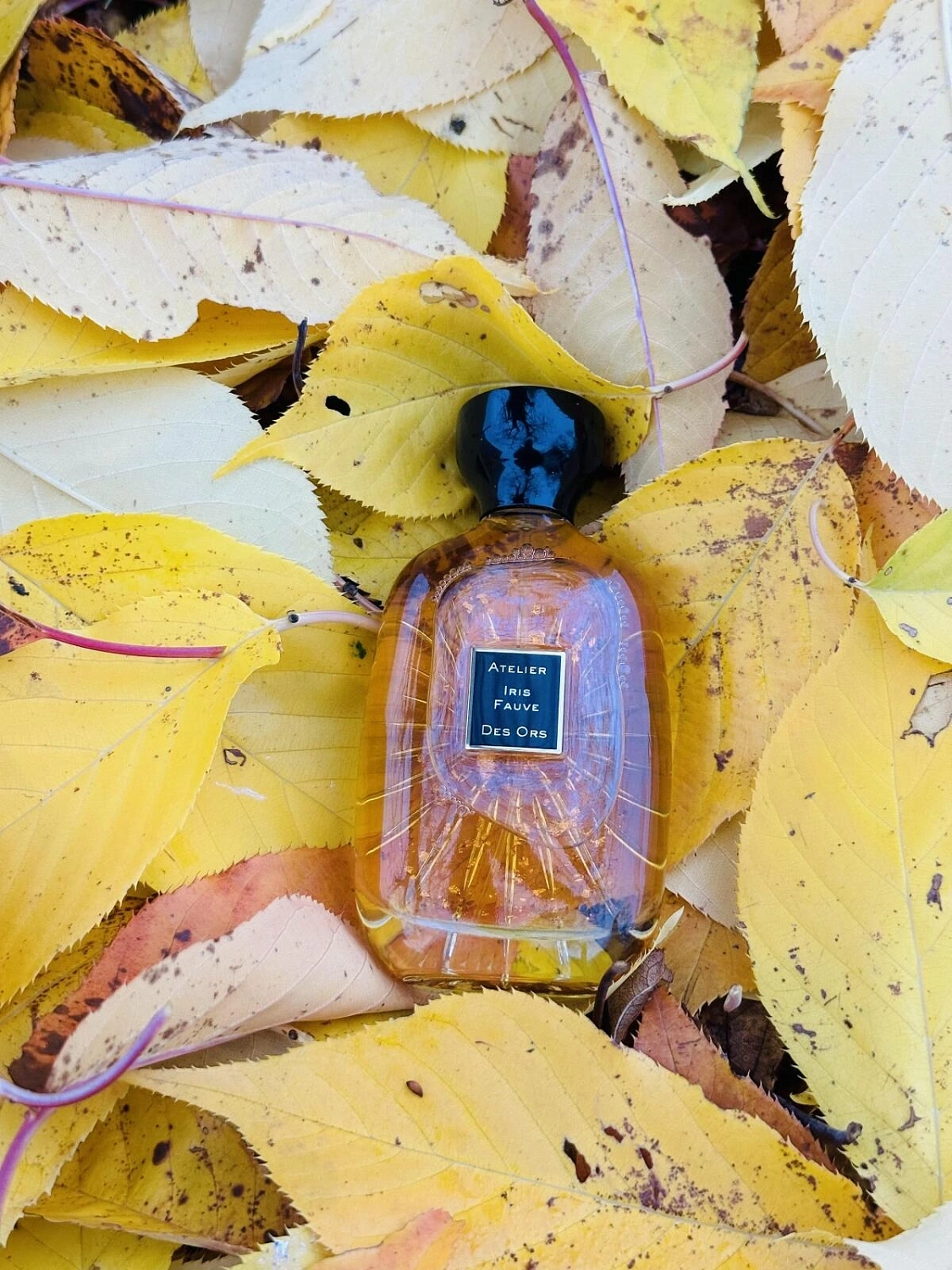Atelier des Ors Iris Fauve