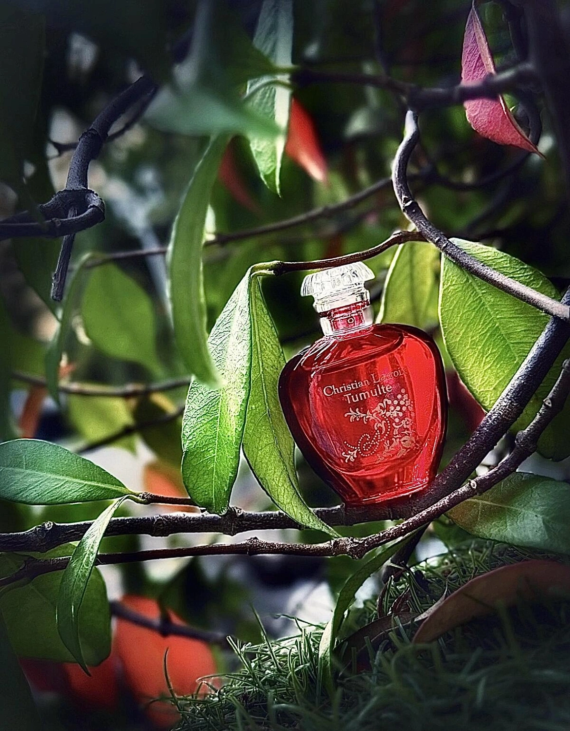 Christian Lacroix Tumulte