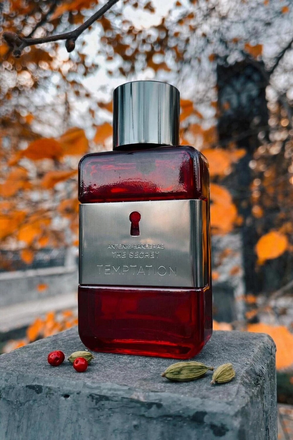 Antonio Banderas The Secret Temptation