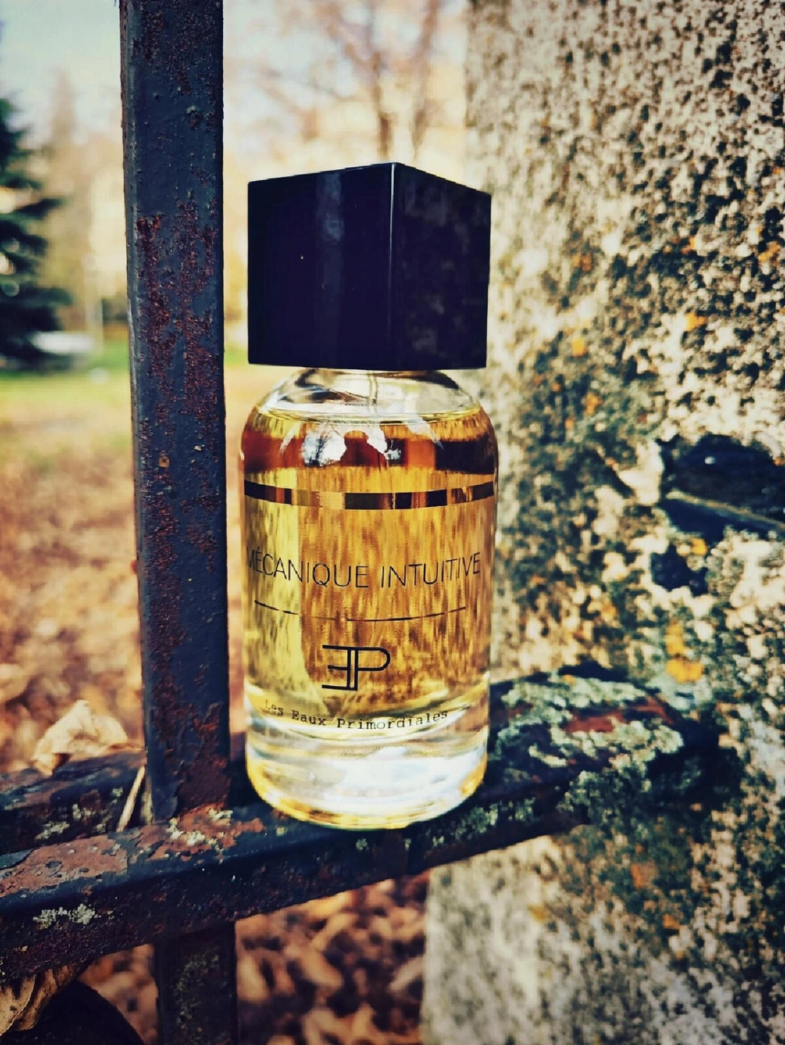 Les Eaux Primordiales Mecanique Intuitive