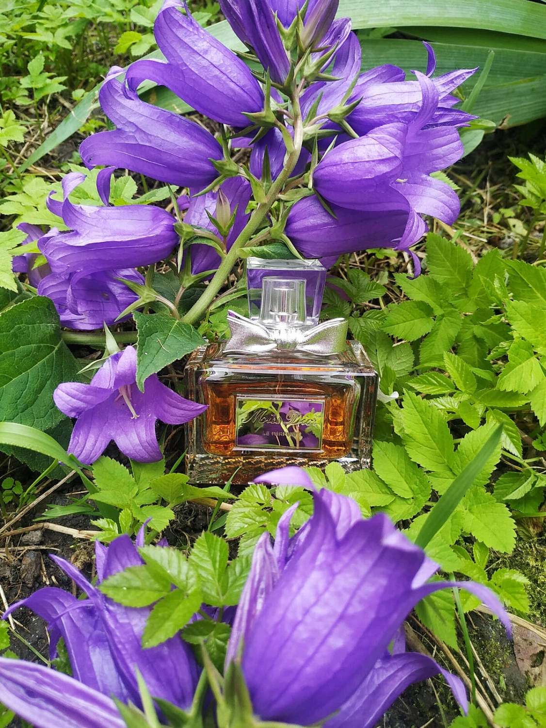 Christian Dior Miss Dior Le Parfum