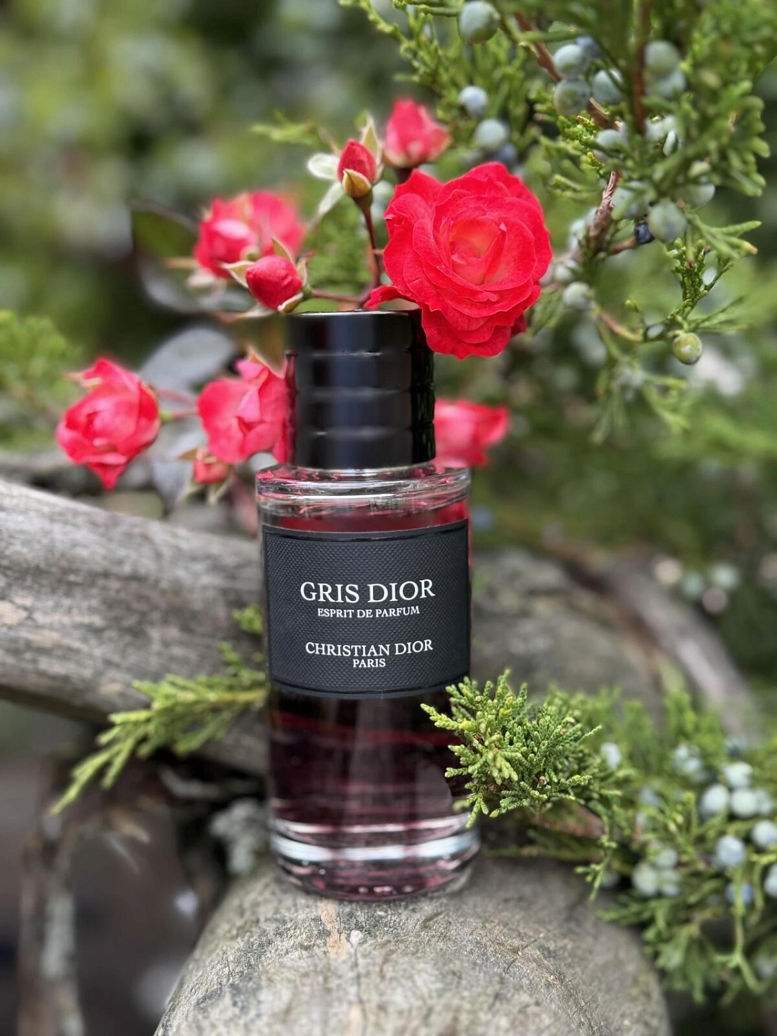 Christian Dior Gris Dior Esprit De Parfum