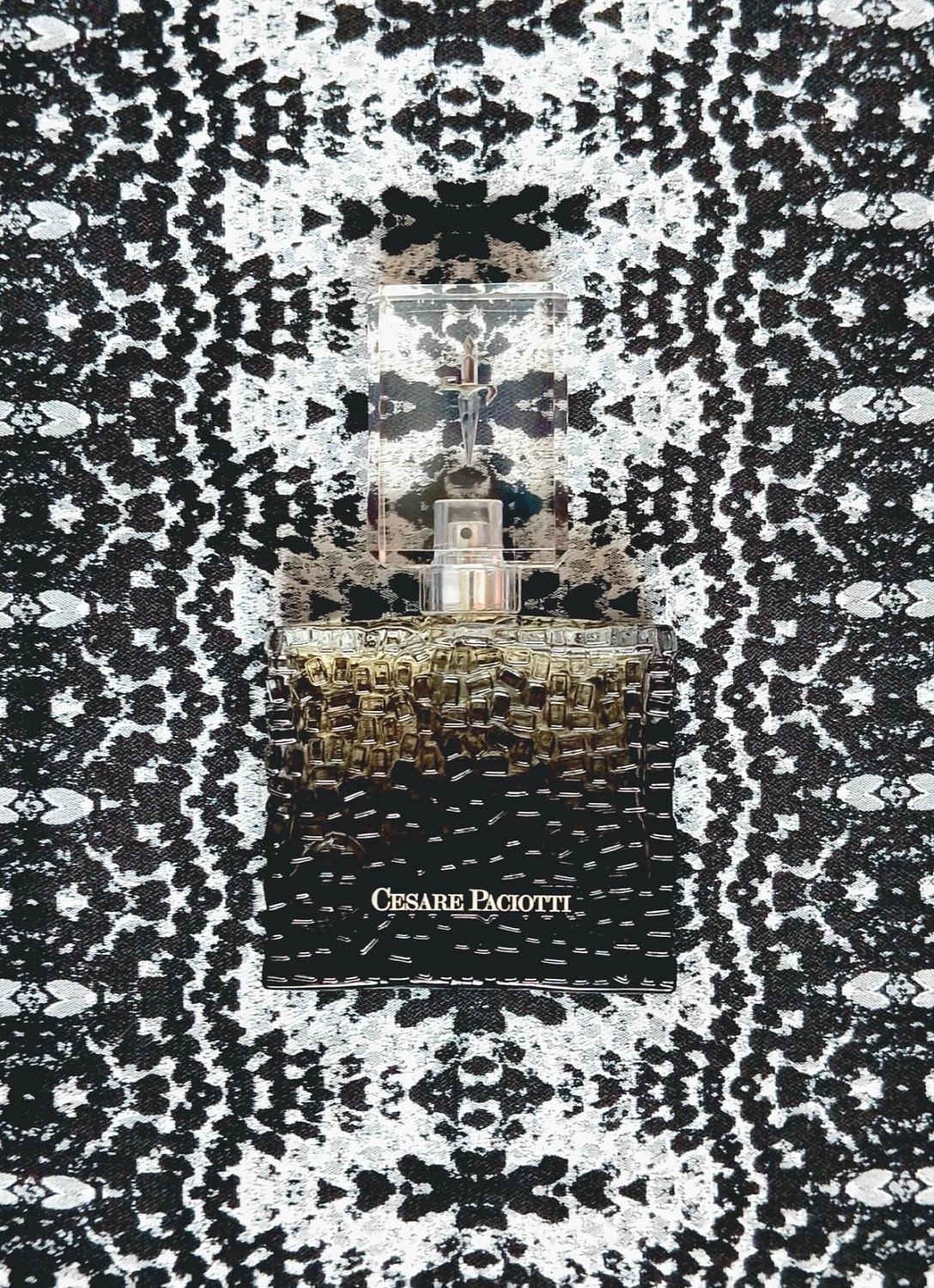 Cesare Paciotti For Him