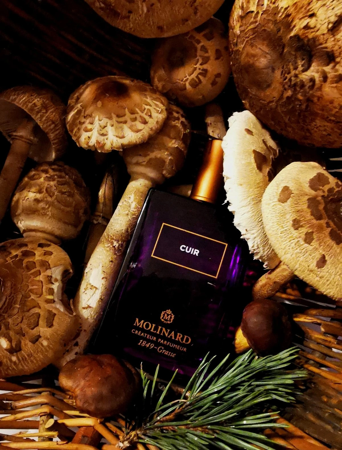 Molinard Cuir Eau de Parfum