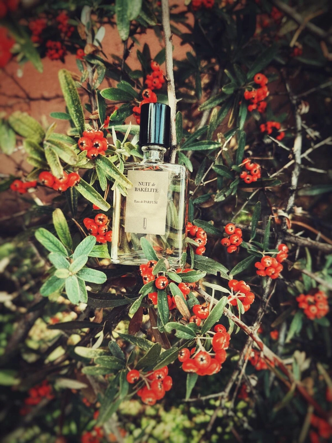 Naomi Goodsir Nuit de Bakelite