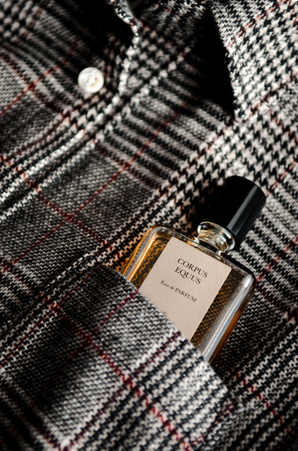 Naomi Goodsir Corpus Equus