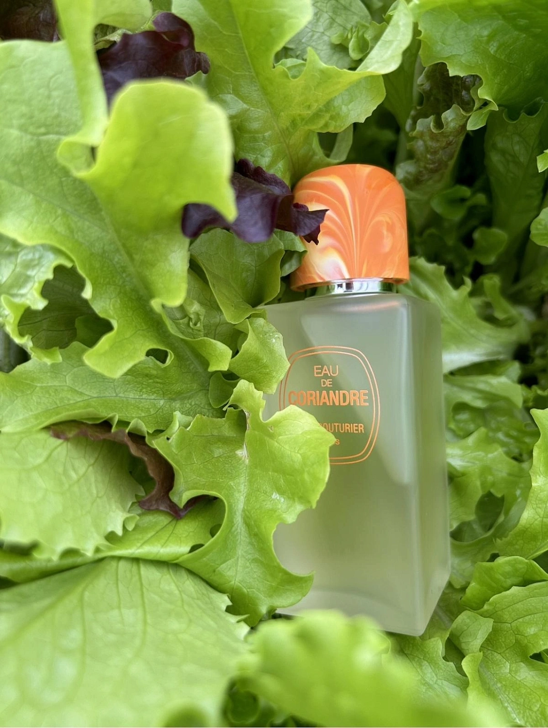 Jean Couturier Eau de Coriandre Jean Couturier Eau de Coriandre
