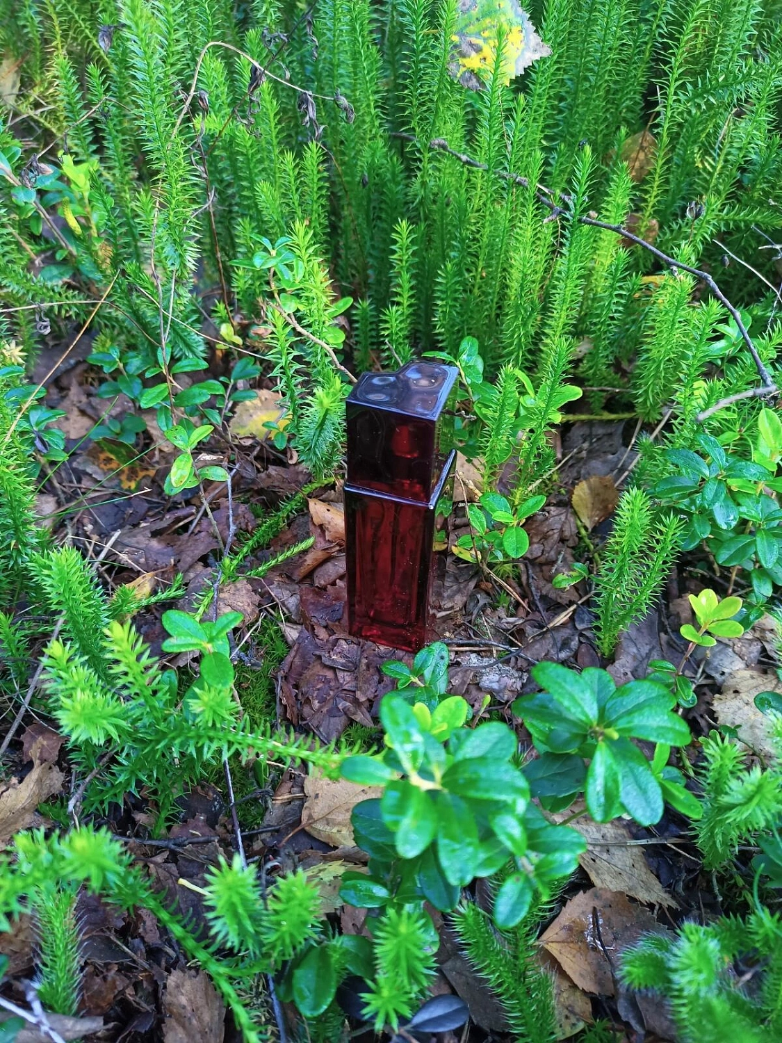 Escada Sentiment Pour Homme