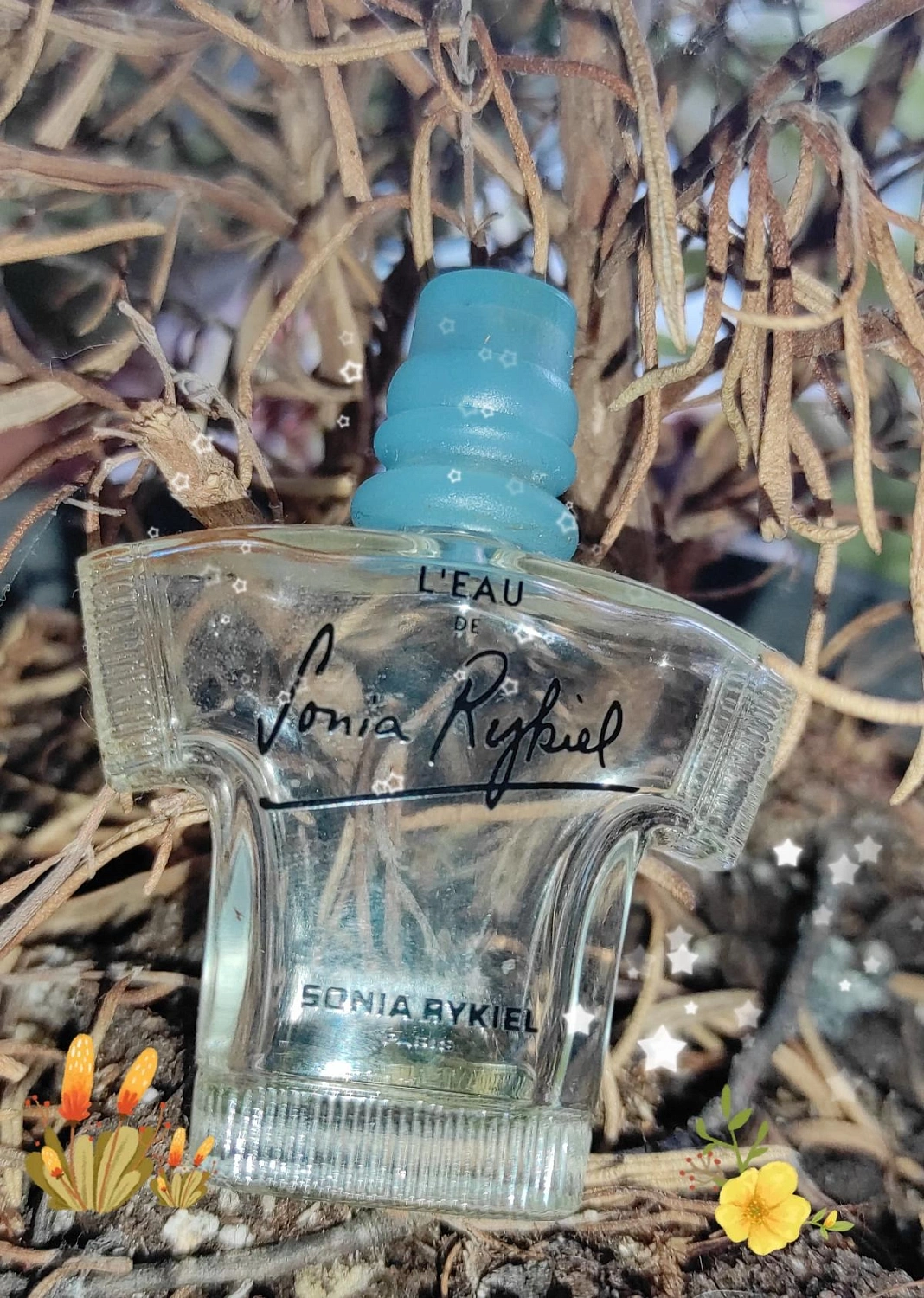 L’Eau de Sonia Rykiel