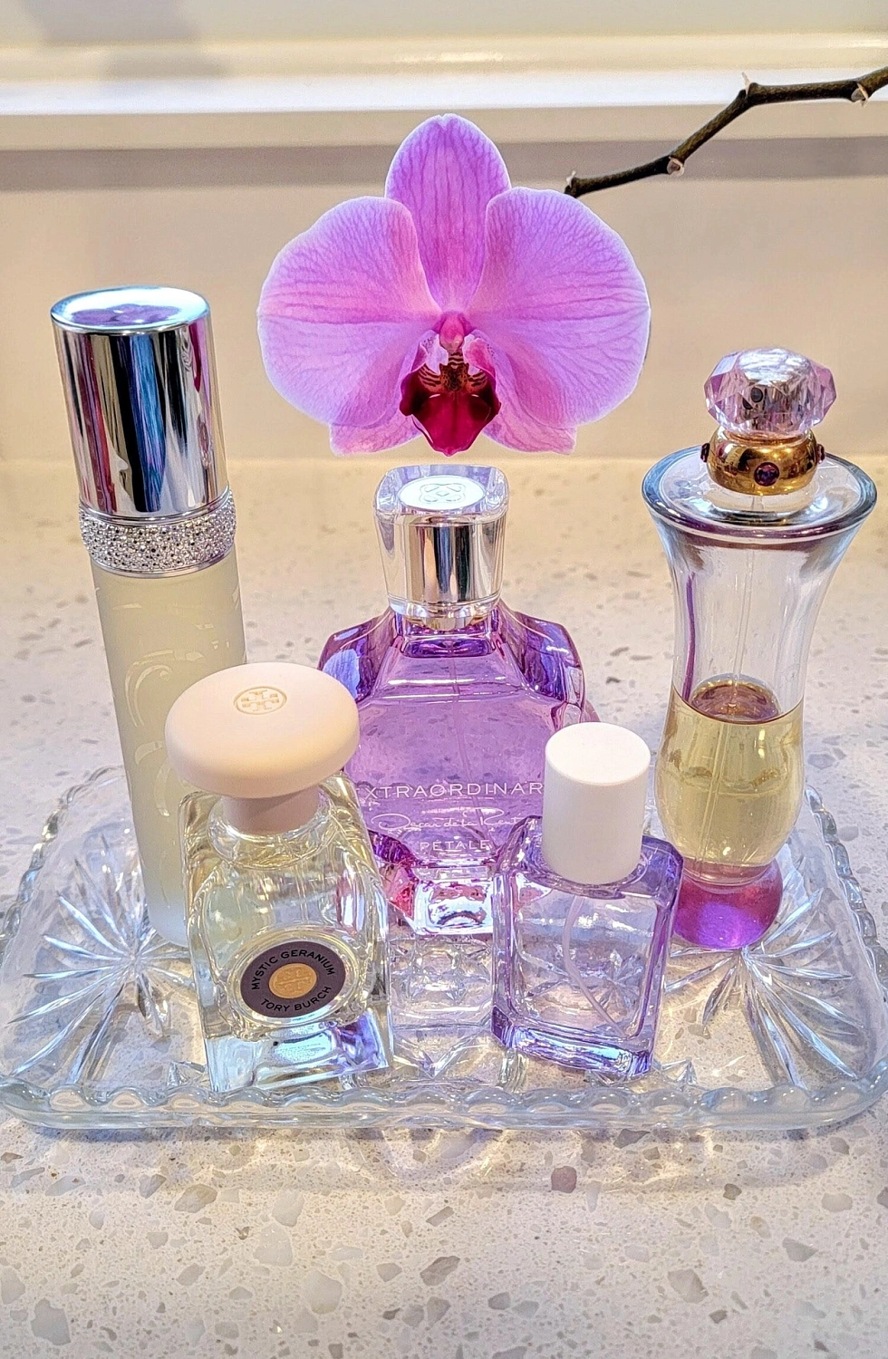 Tory Burch Mystic Geranium