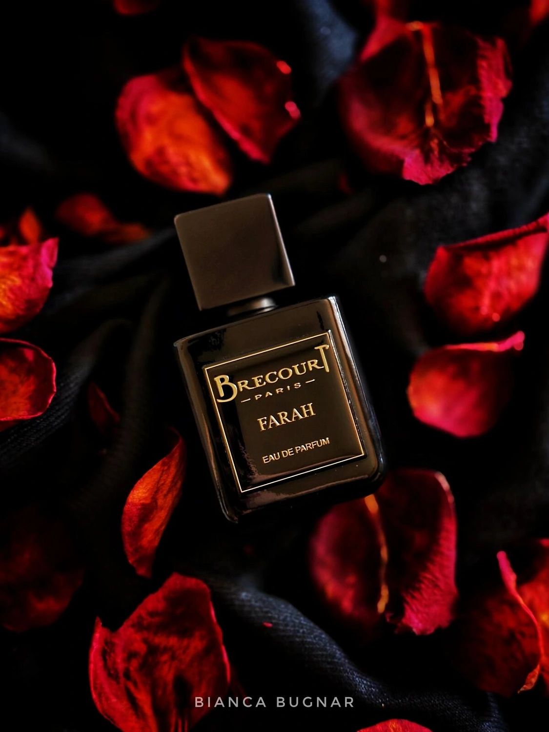 Brecourt Farah Brecourt Farah