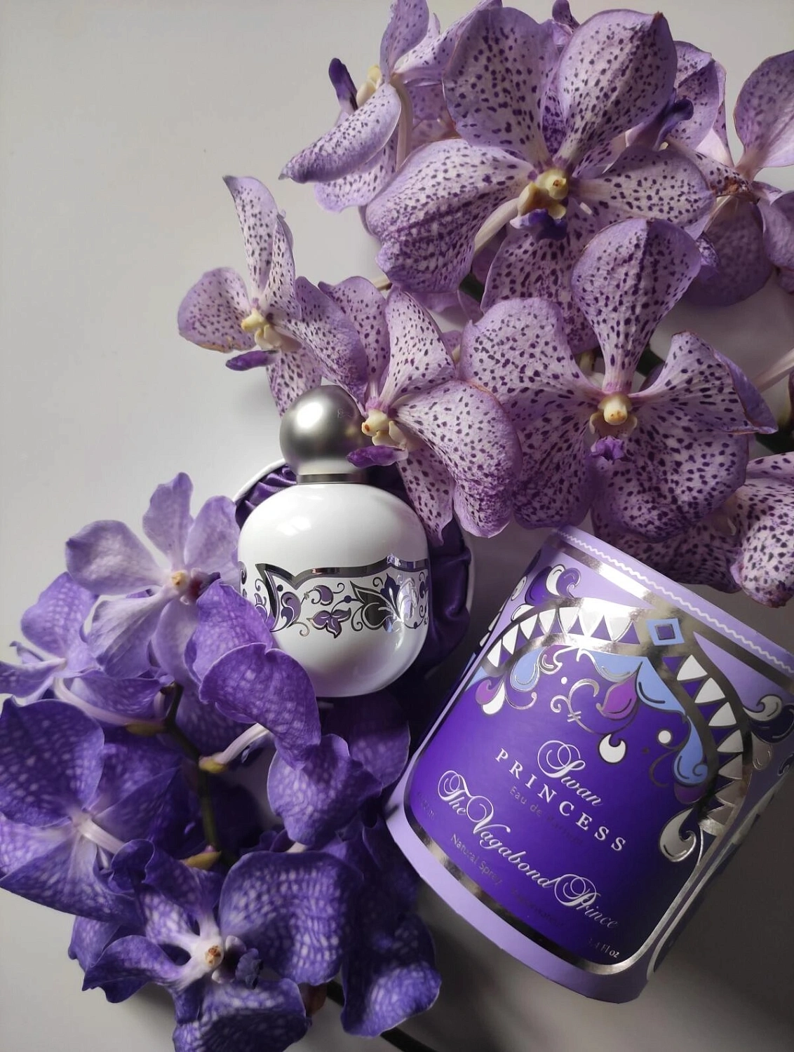 The Vagabond Prince Swan Princess