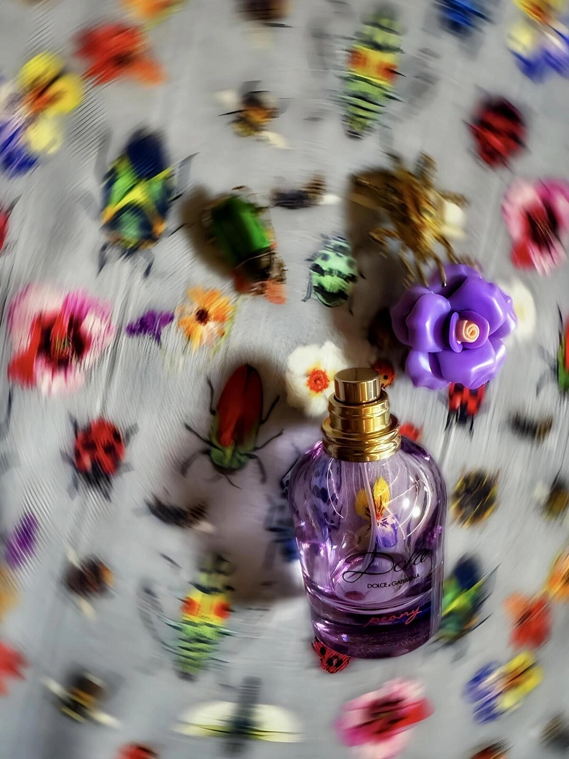 DOLCE & GABBANA Dolce Peony