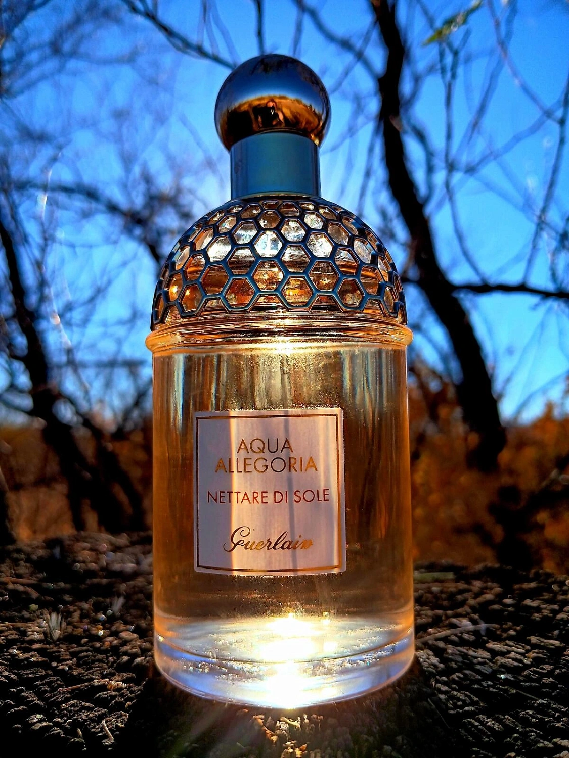 Guerlain Aqua Allegoria Nettare di Sole