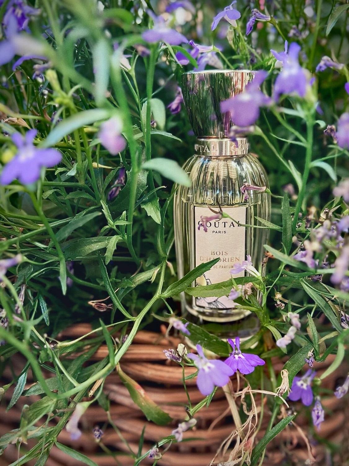 Annick Goutal Bois d'Hadrien