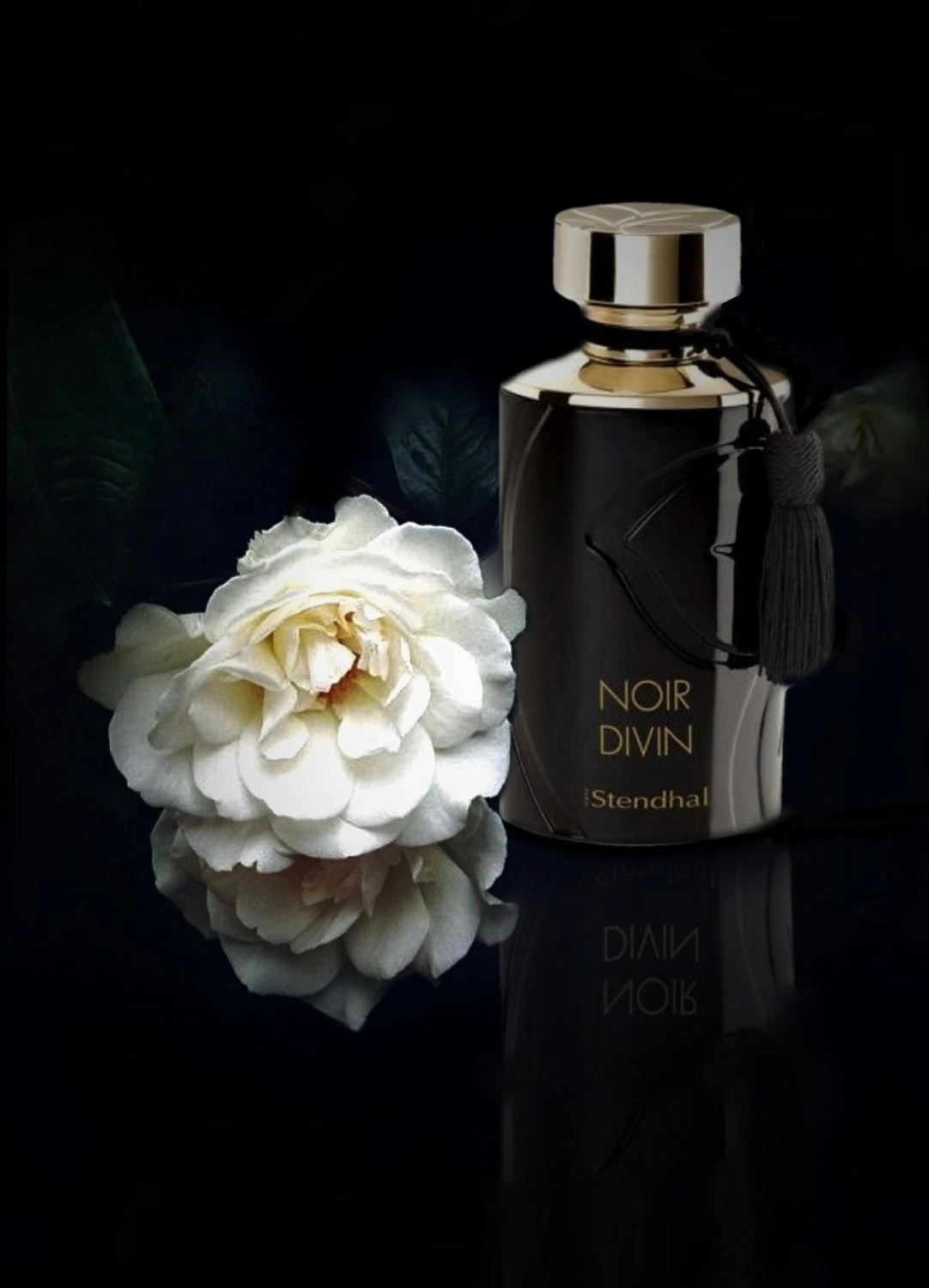 Stendhal Noir Divin Stendhal Noir Divin