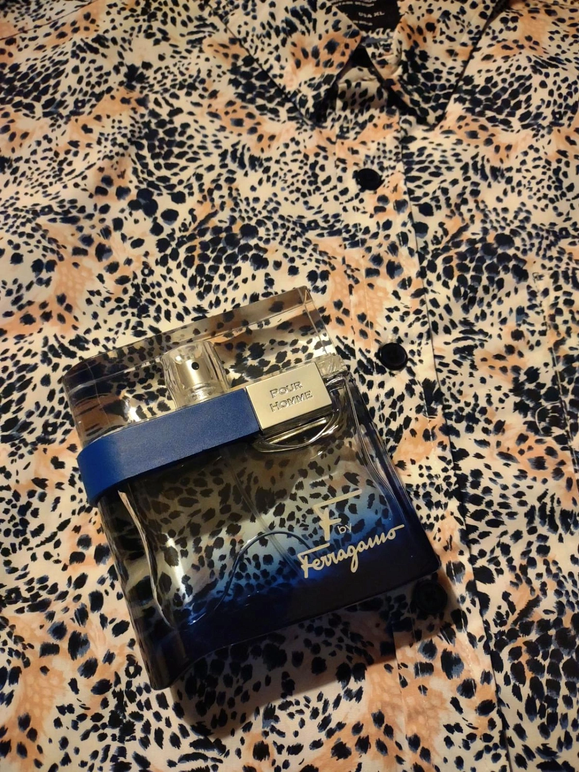 Salvatore Ferragamo F by Ferragamo Free Time