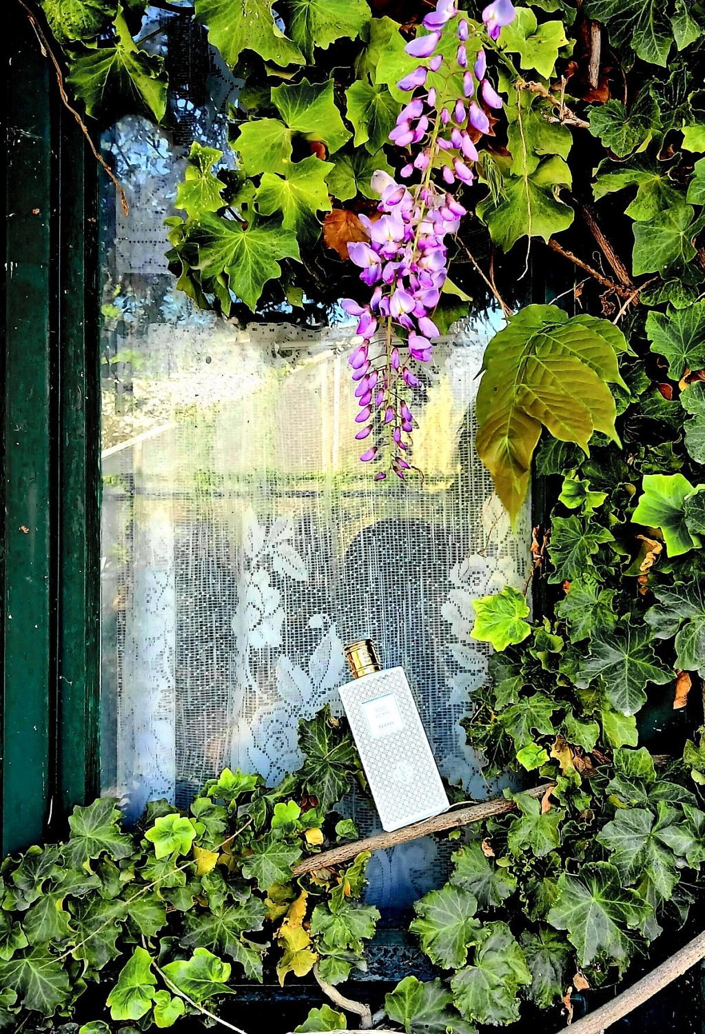 Perris Monte Carlo Rose De Mai