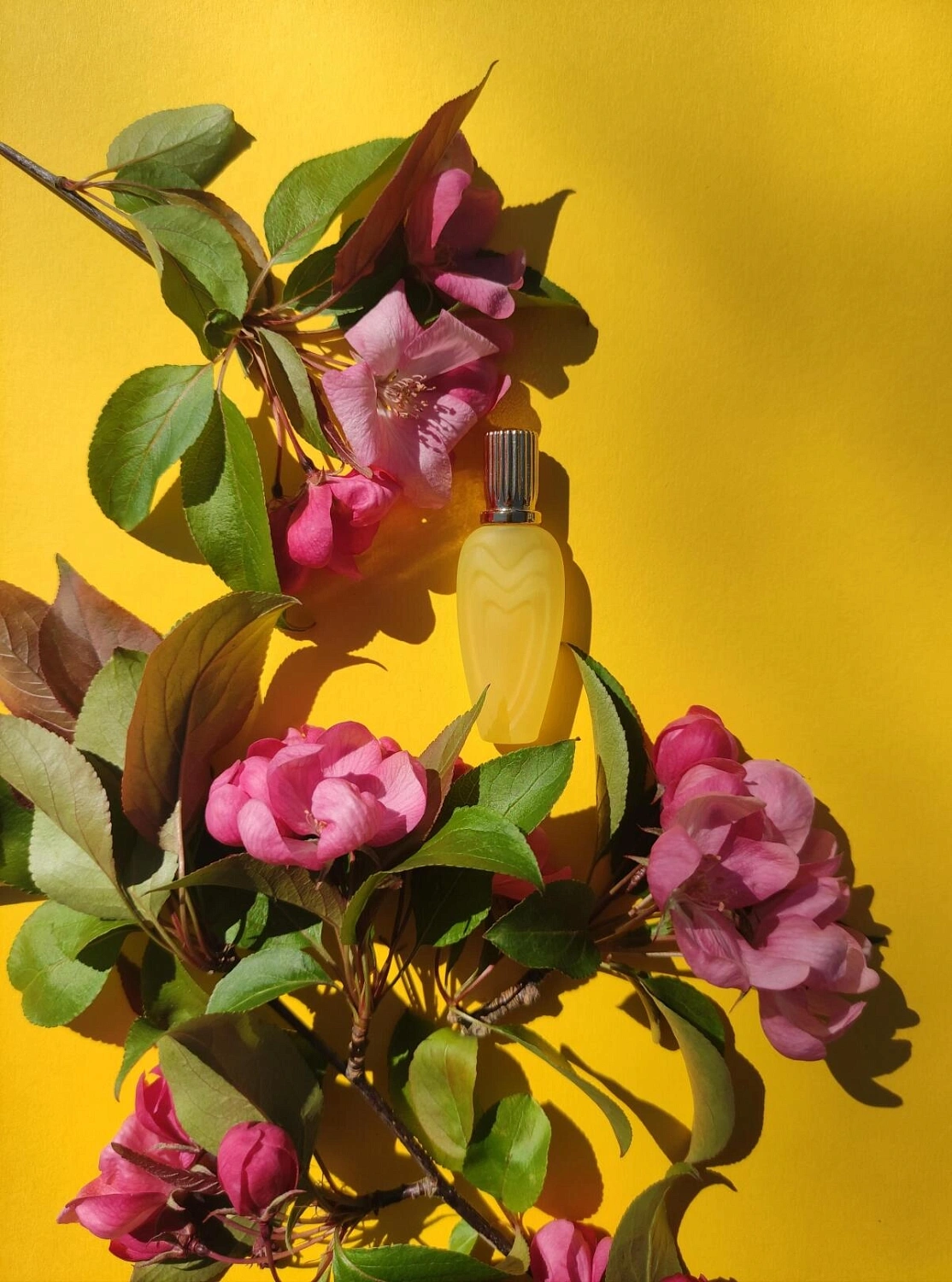 Escada Jardin de Soleil