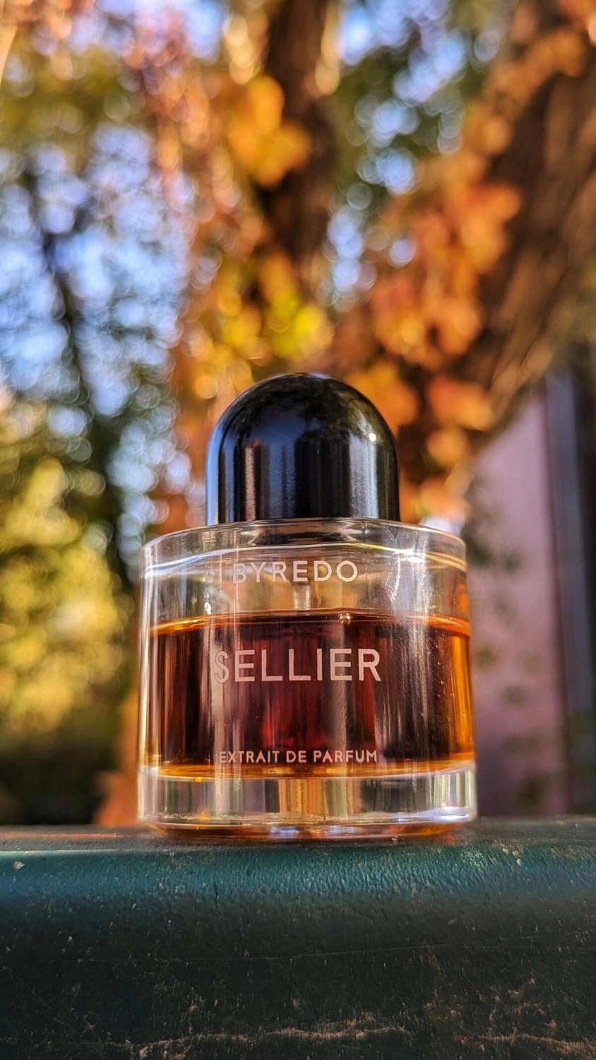 BYREDO Sellier