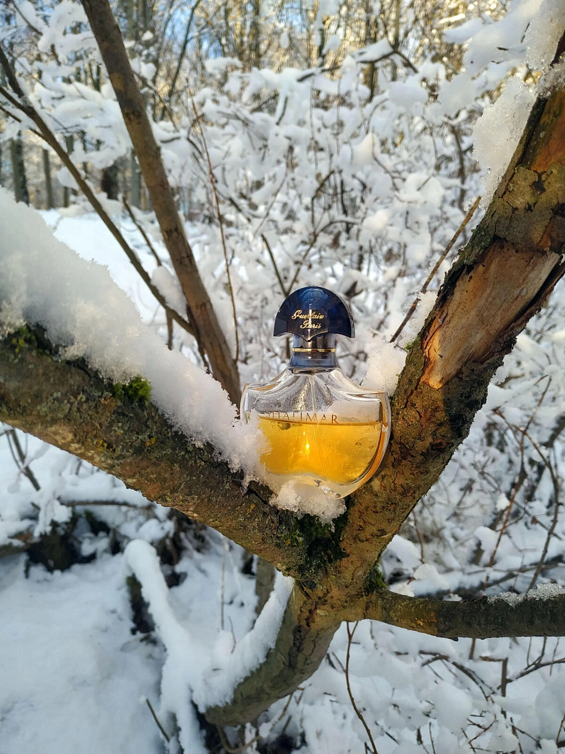 Guerlain Shalimar Eau de Parfum