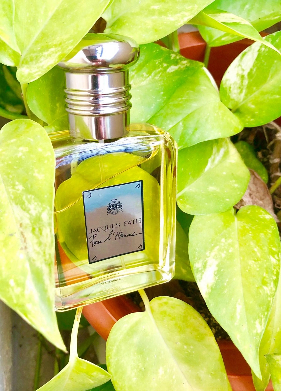 Jacques Fath Pour L'Homme Jacques Fath Pour L'Homme