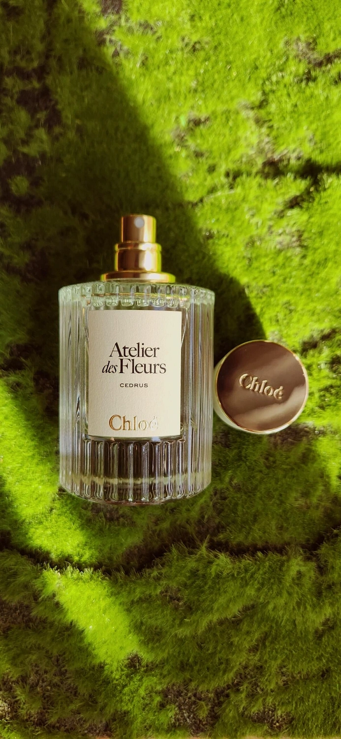 Chloe Atelier Des Fleurs Cedrus