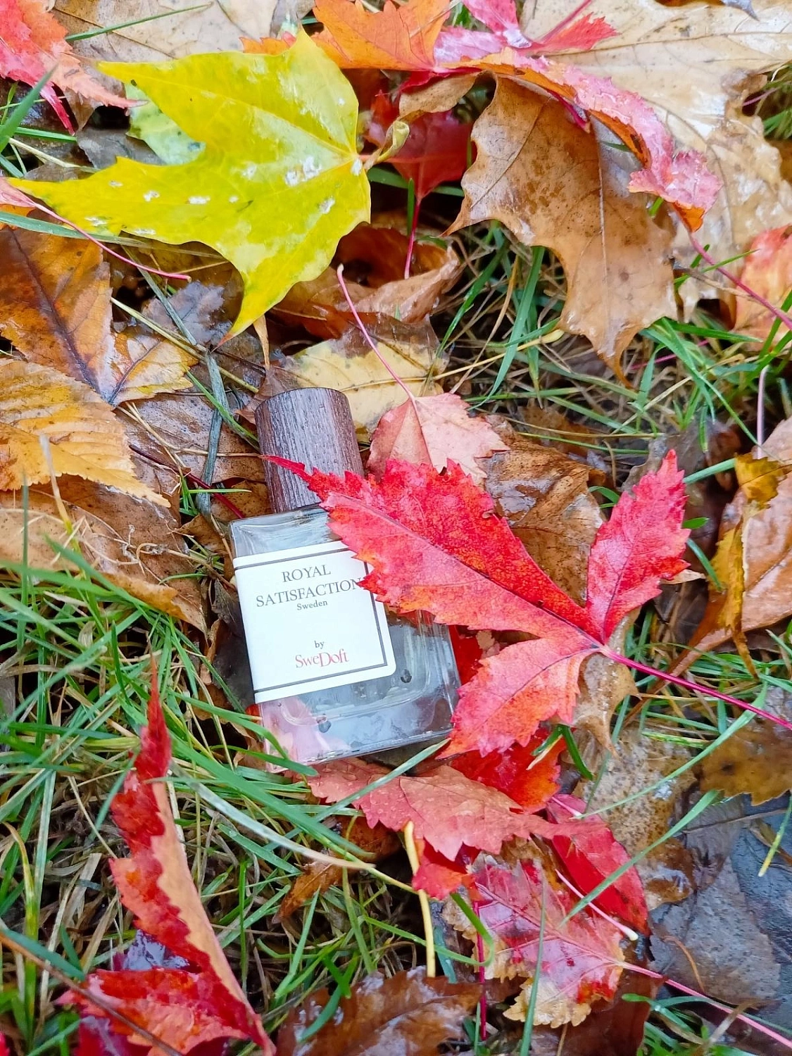 Swedoft Royal Satisfaction