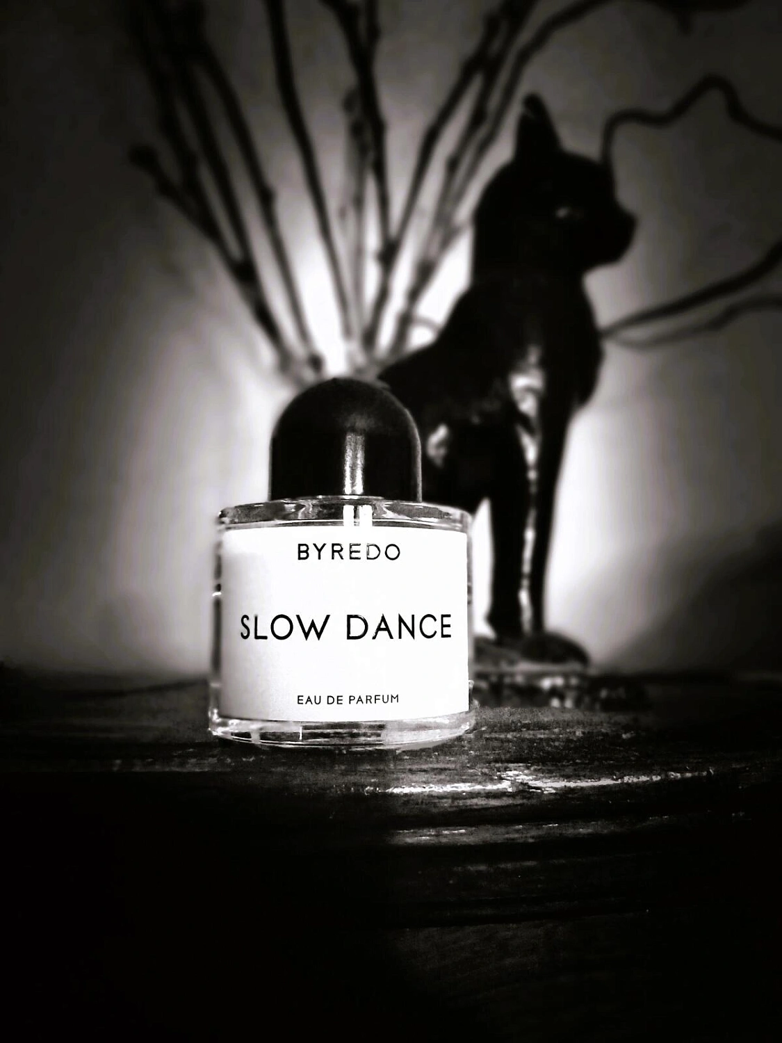 BYREDO Slow Dance
