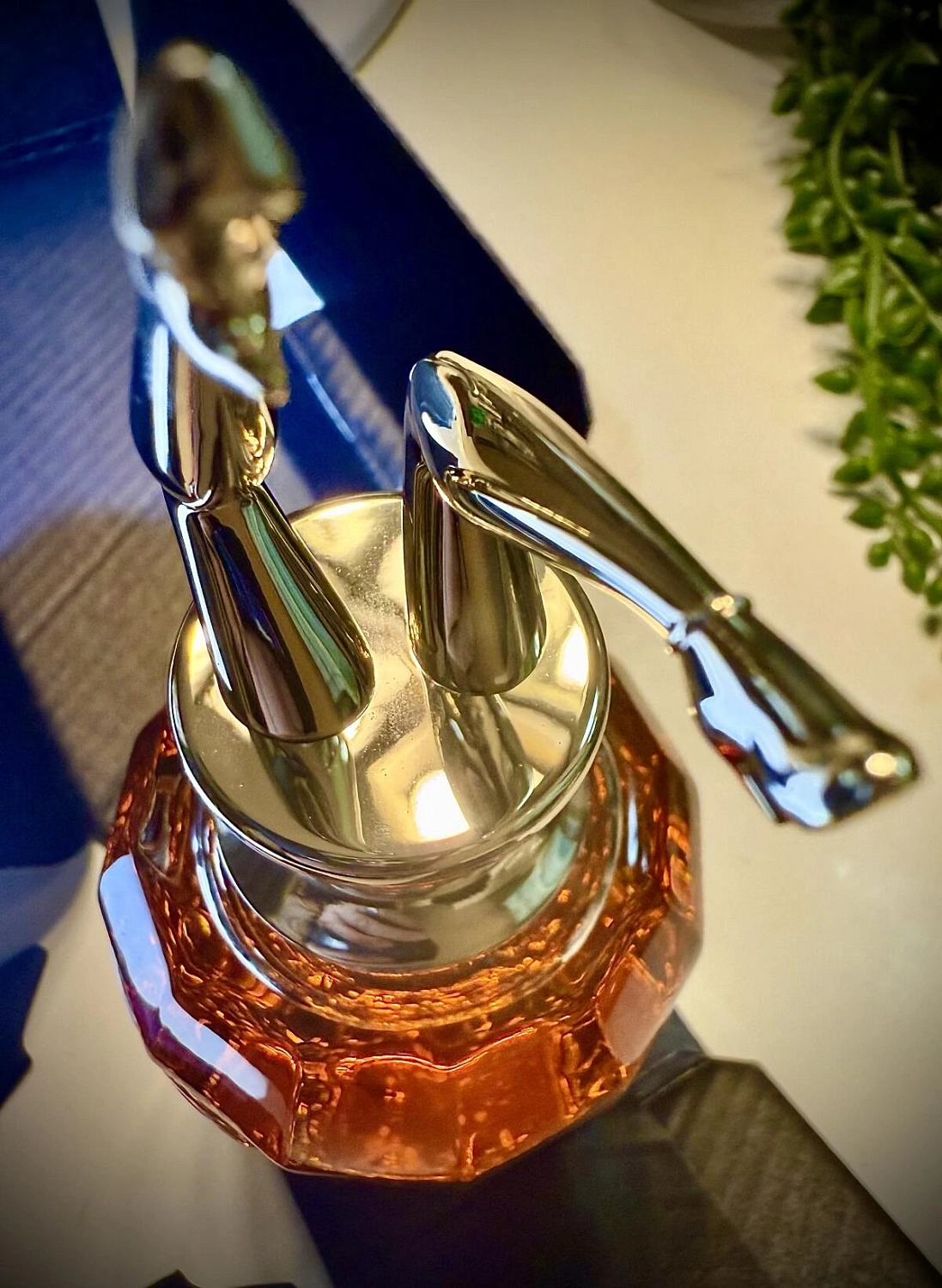 Jean Paul Gaultier Scandal Absolu