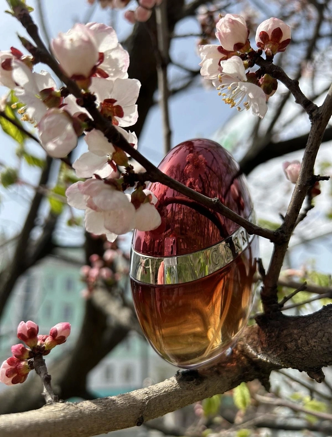 Cerruti 1881 1881 Collection