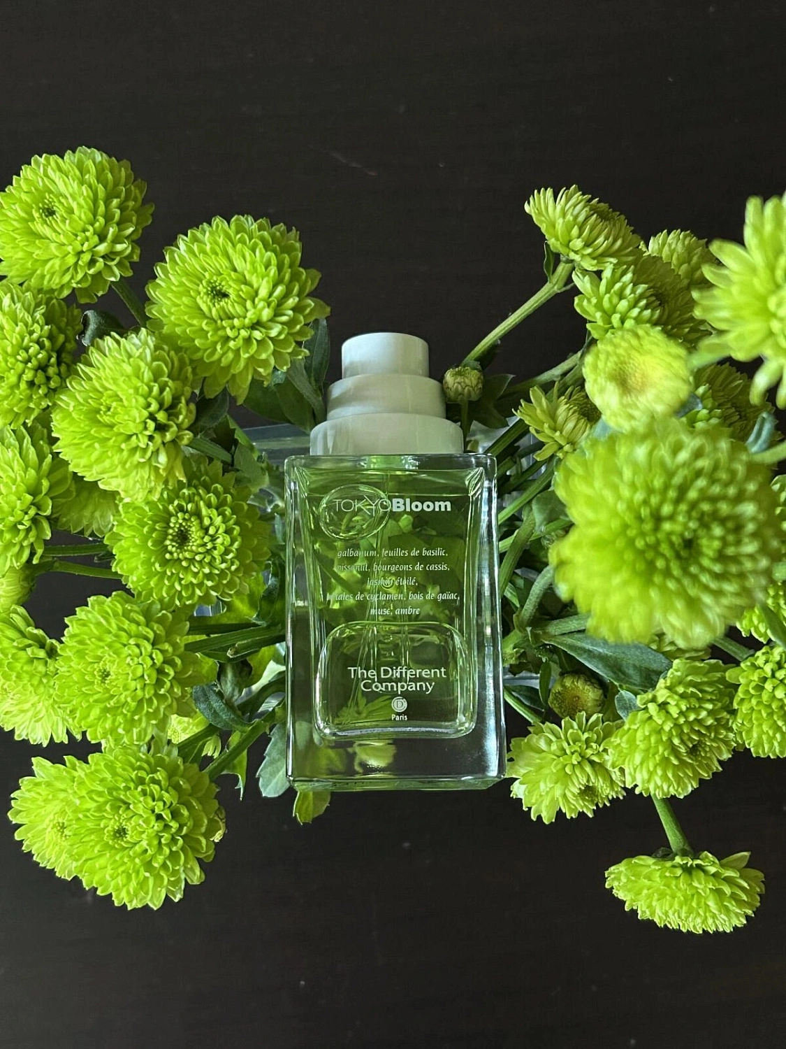 The Different Company Tokyo Bloom