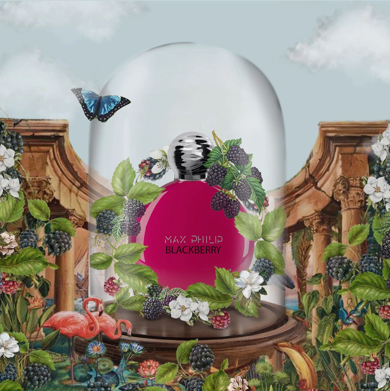 Max Philip Blackberry