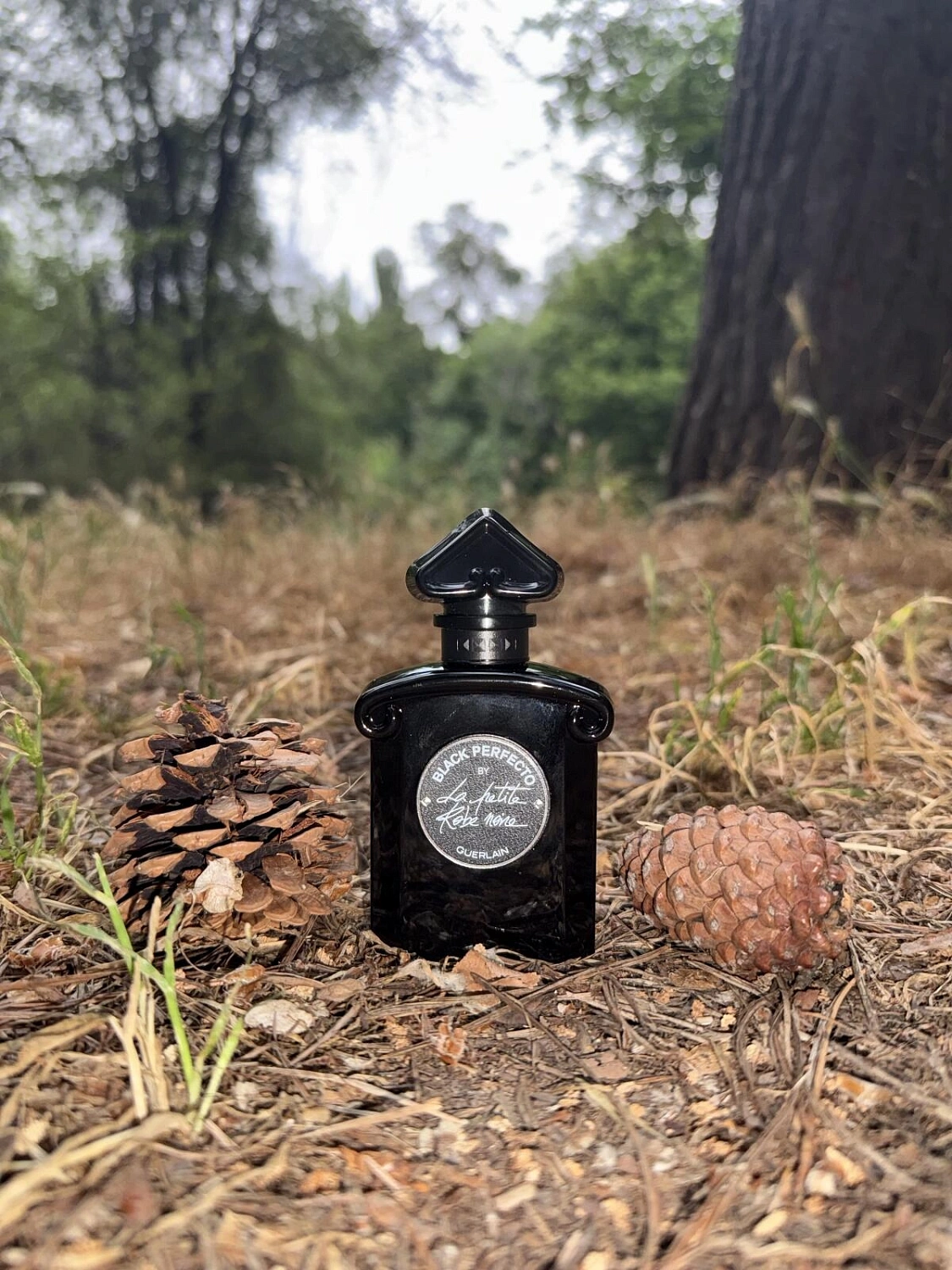 Guerlain Black Perfecto by La Petite Robe Noire