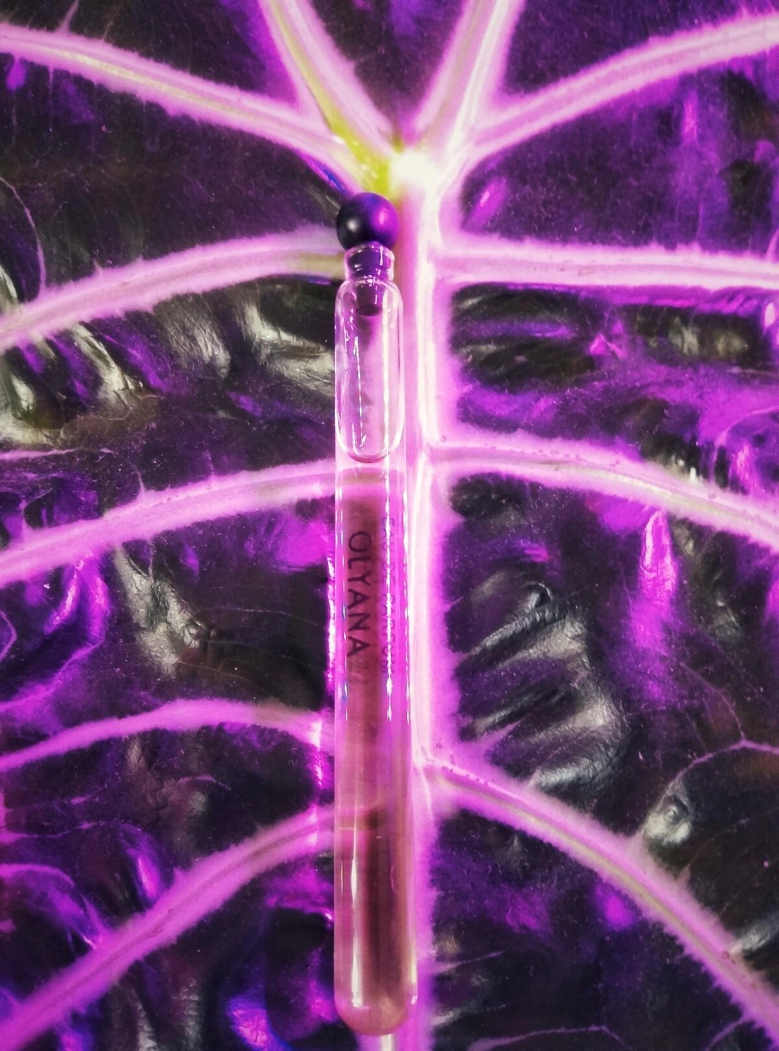 Novaya Zarya (Новая Заря) Олиана (Olyana)