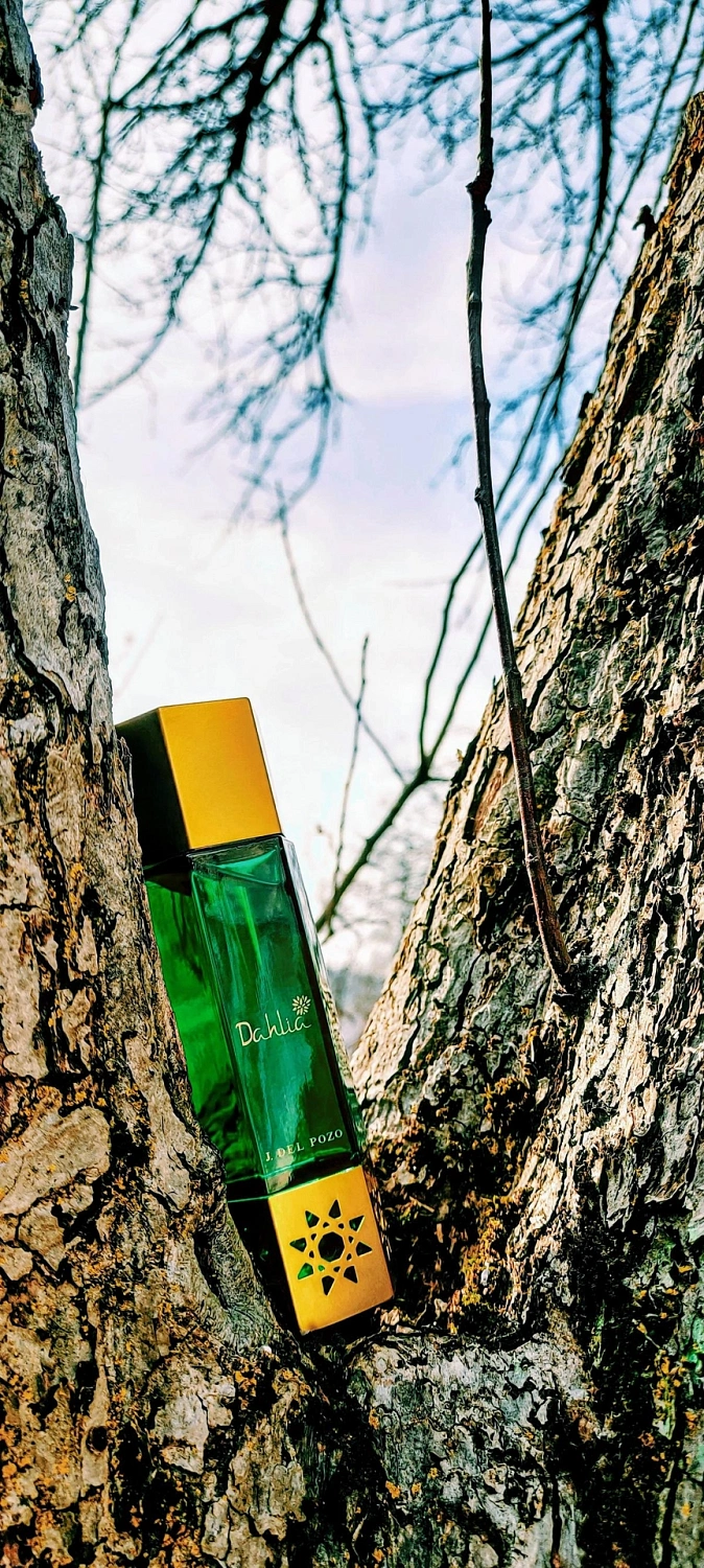 Jesus Del Pozo Desert Flowers Dahlia