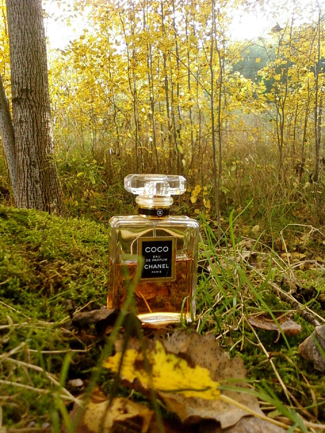 Chanel Coco Chanel Coco