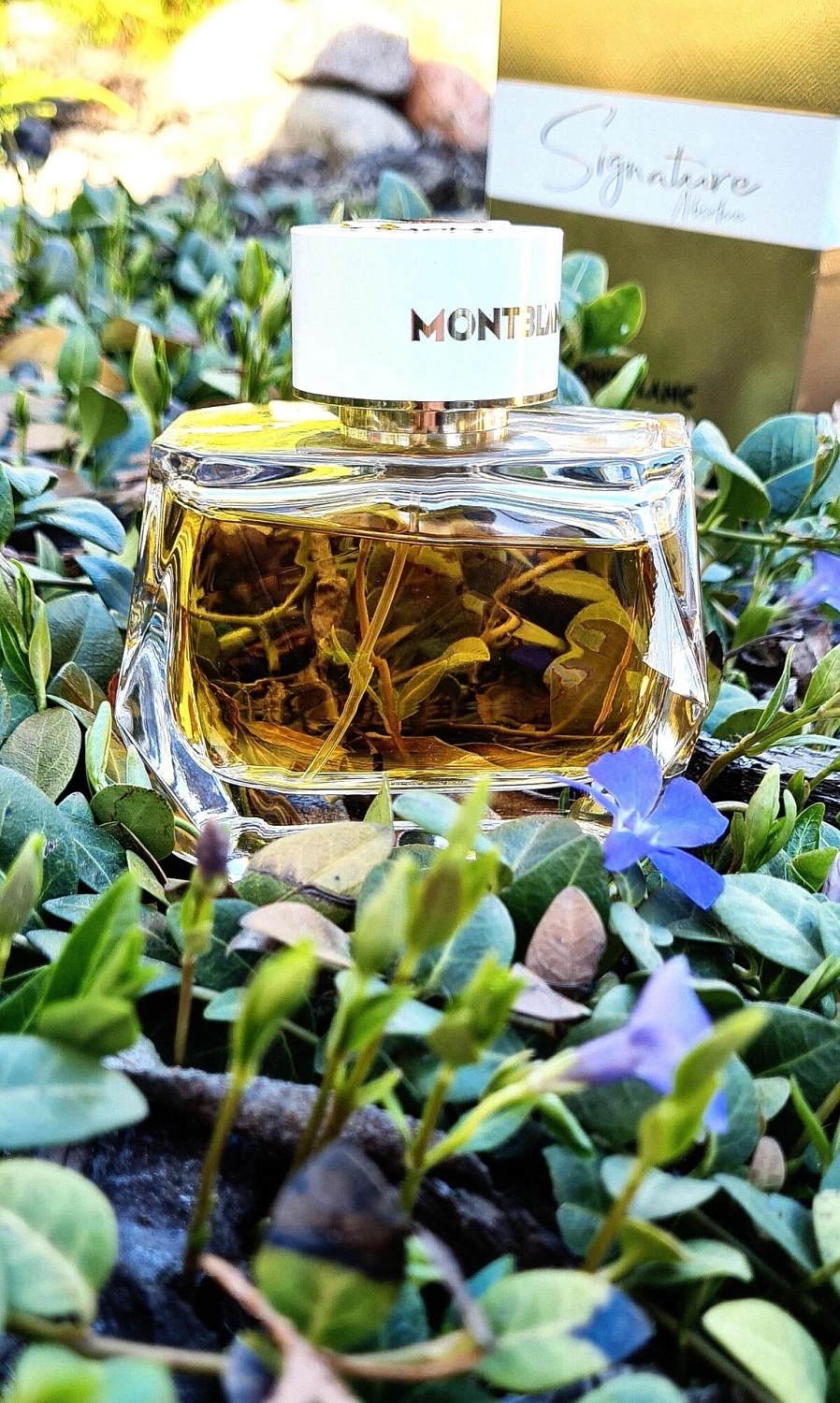 Montblanc Signature Absolue Montblanc Signature Absolue