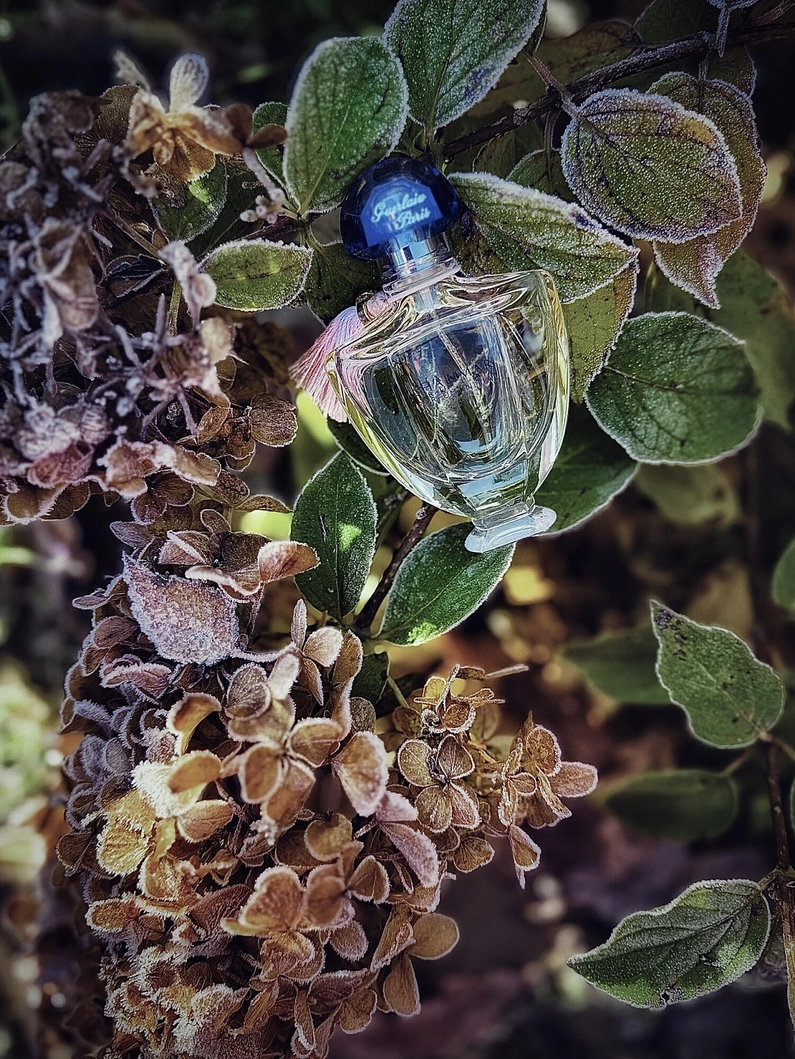 Guerlain Shalimar Parfum Initial L'Eau