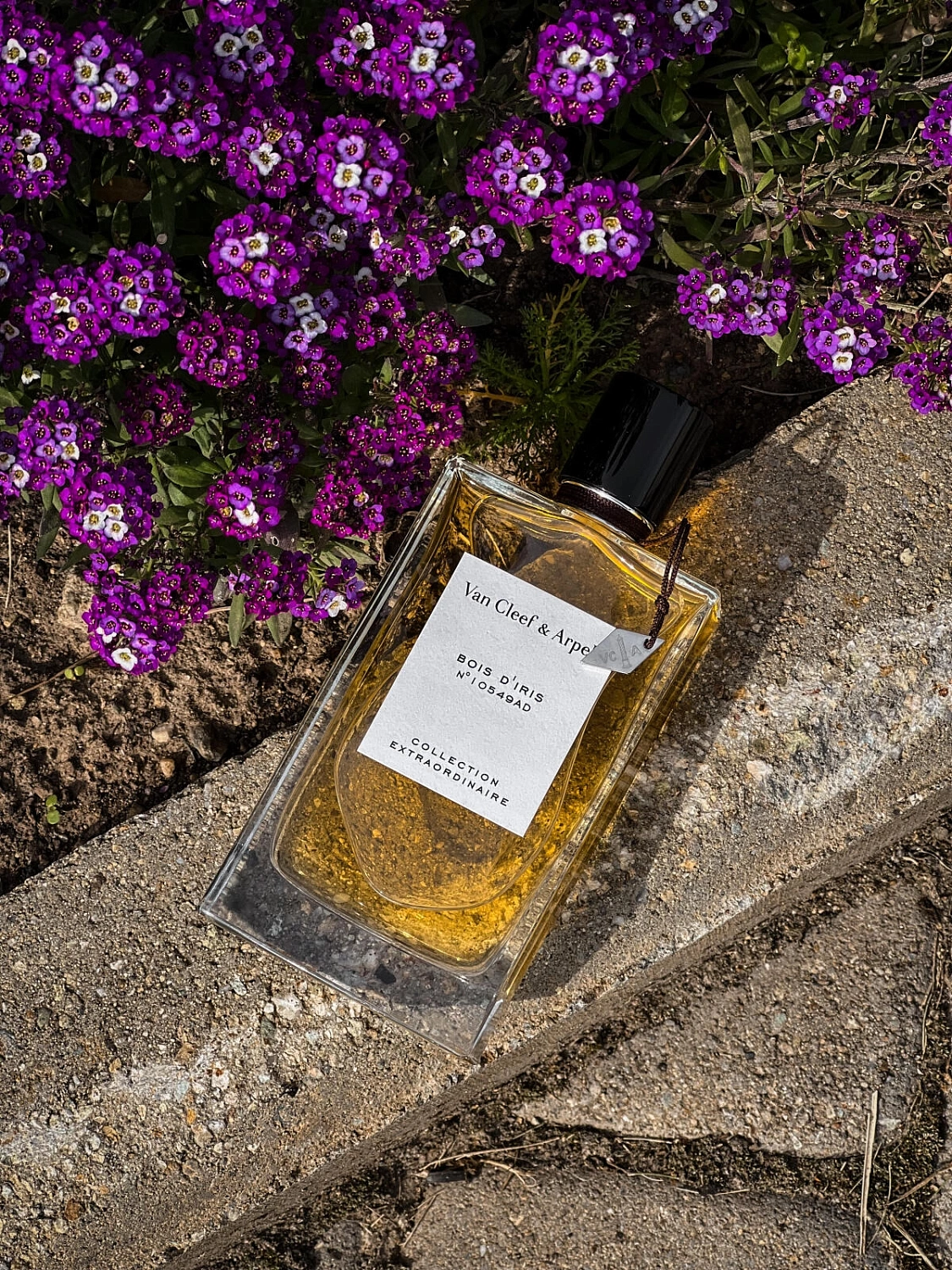 Van Cleef & Arpels Collection Extraordinaire Bois d’Iris